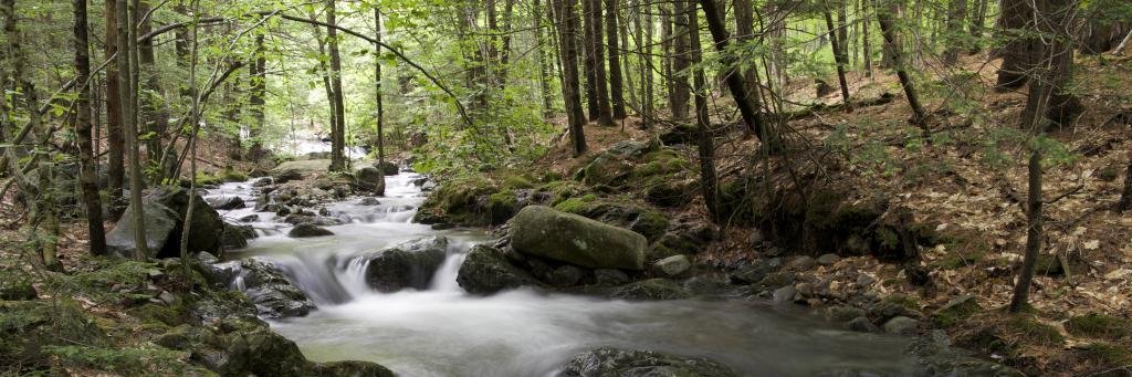 Treat others as you would like to be treated banner