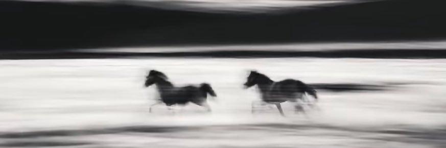 S banner