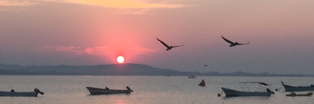 swimsei's profile banner image