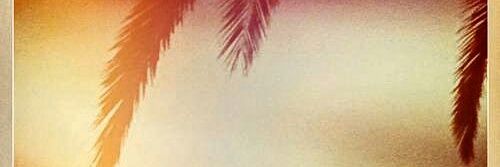 Lonchera_WDF's profile banner image