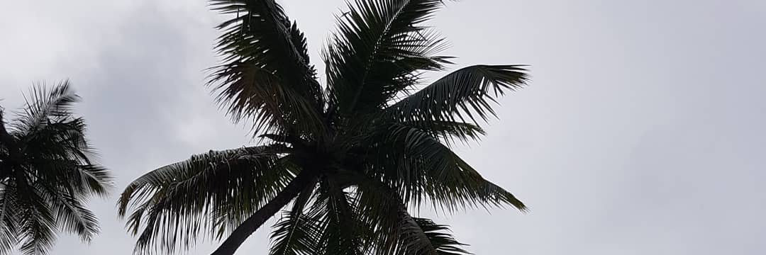 aguiarsol's profile banner image