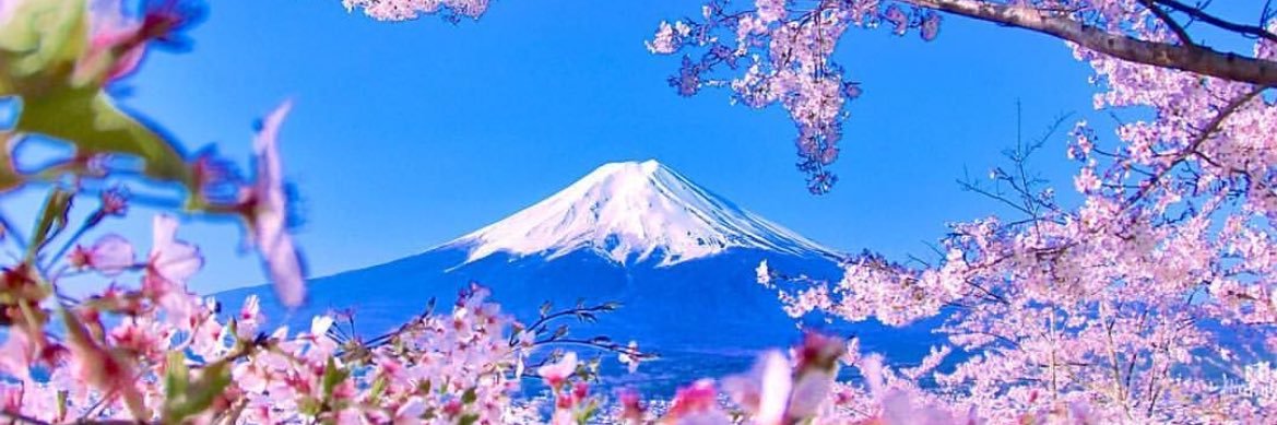 青メダカ banner