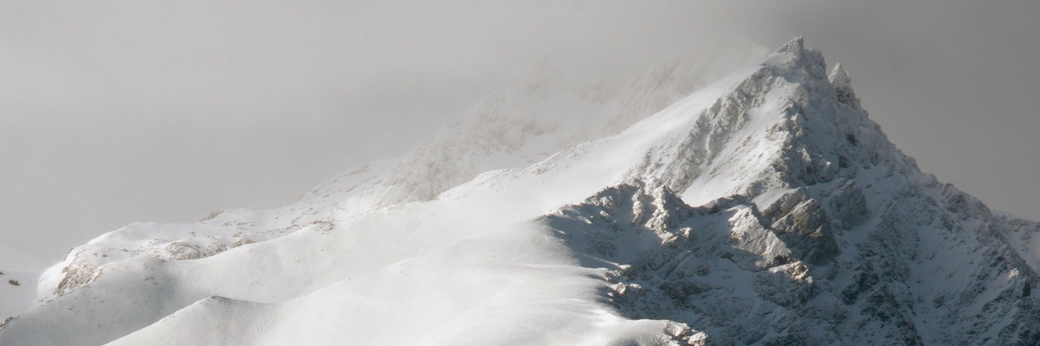 pederhedeby's profile banner image