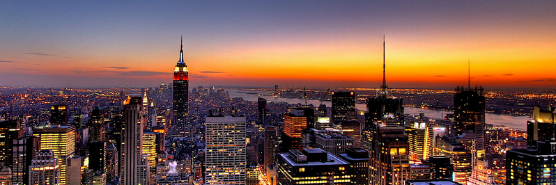 Mobilize New York banner