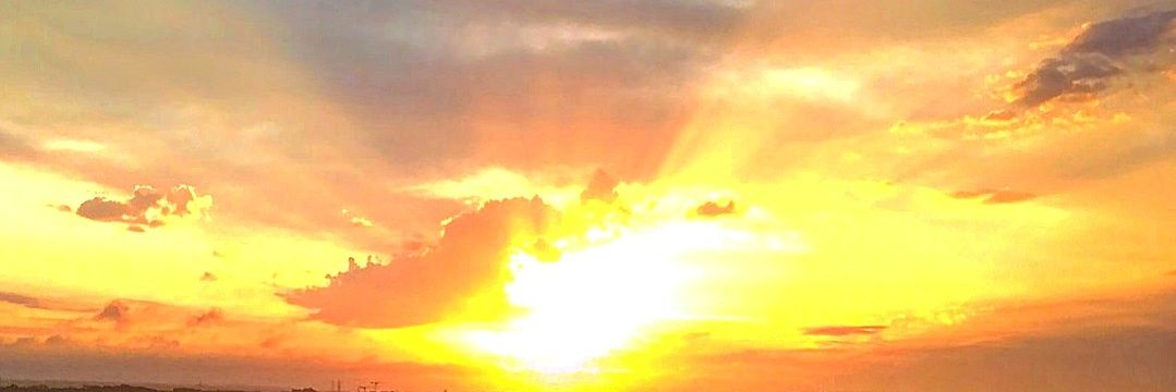romannitol's profile banner image