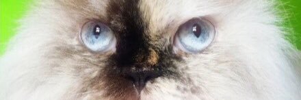 _MecheCruz's profile banner image