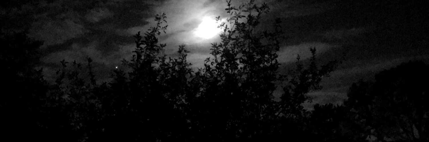 CHUFF84's profile banner image