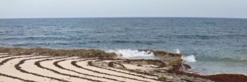 Sebastian Moreno banner