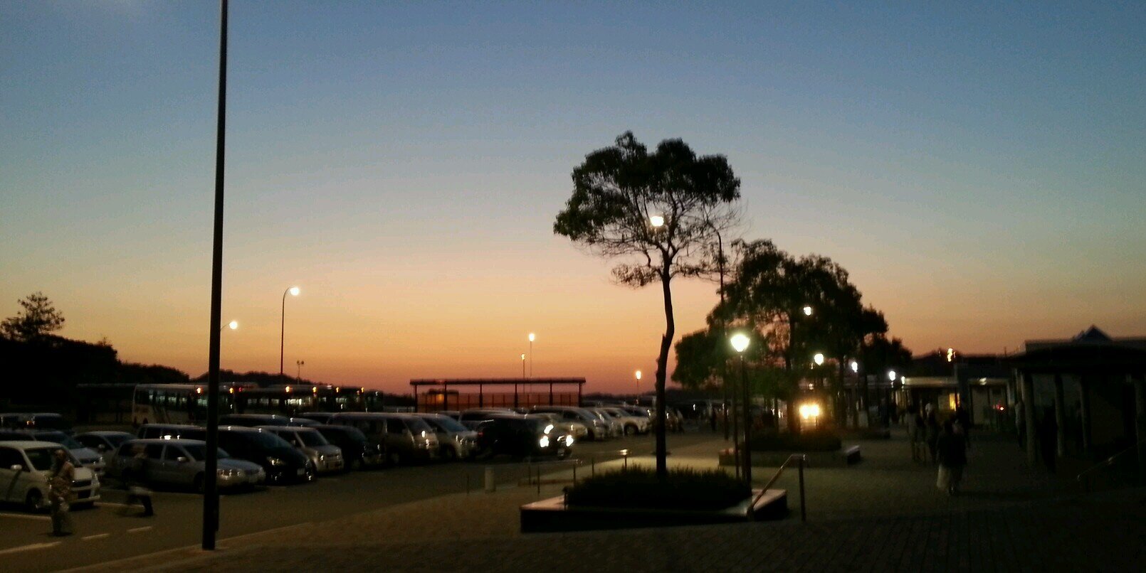 タッツン@スーパー銭湯ポン活サンダー！！ banner