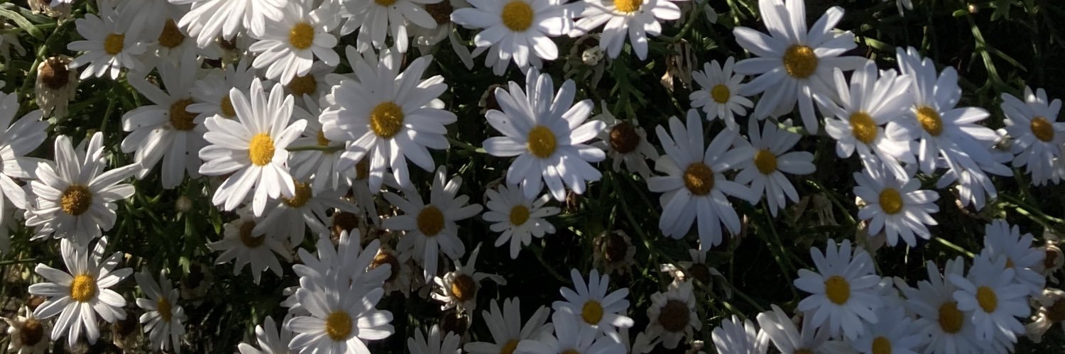 mrgaridaxavier's profile banner image