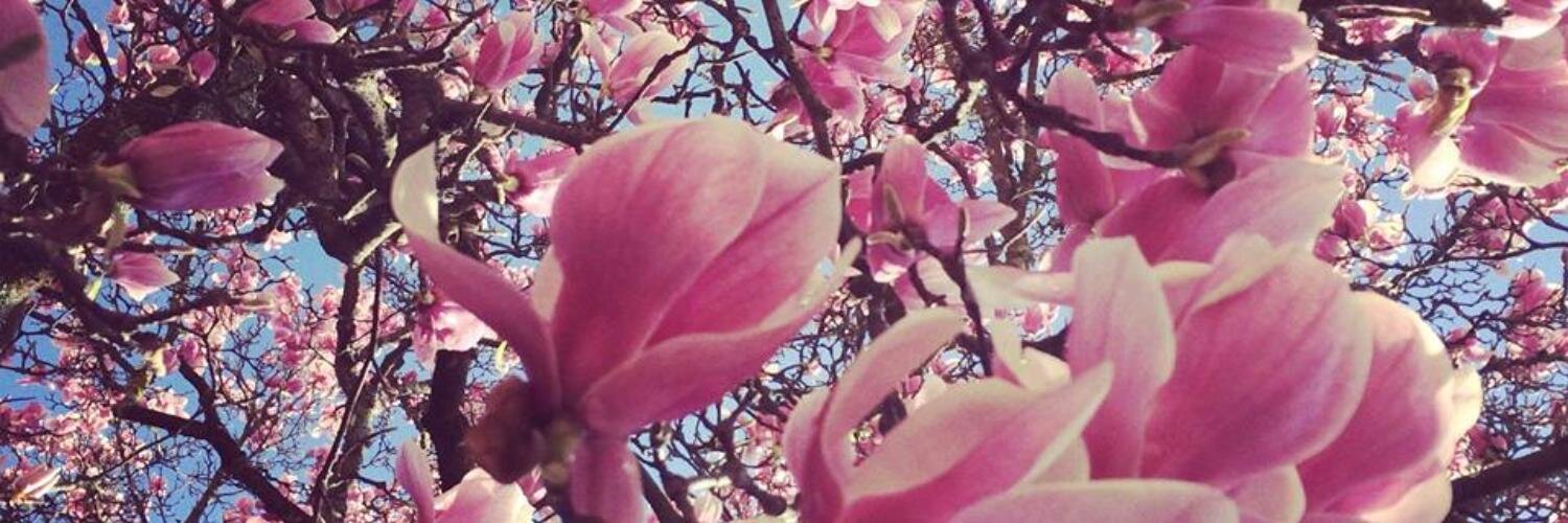 Ssumpta's profile banner image