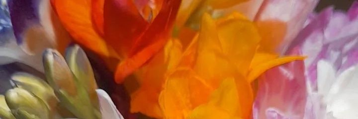Yanel_'s profile banner image