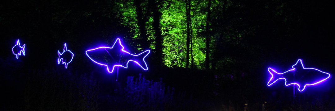 DarkRilux's profile banner image