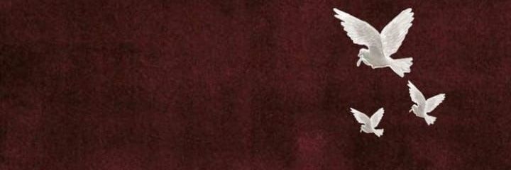 E96lie's profile banner image