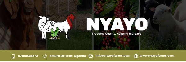 nyayofarms Profile Banner