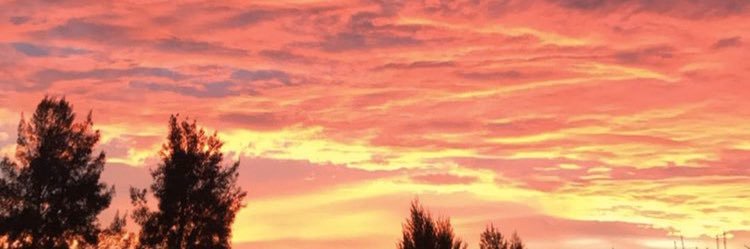 paulideluca's profile banner image