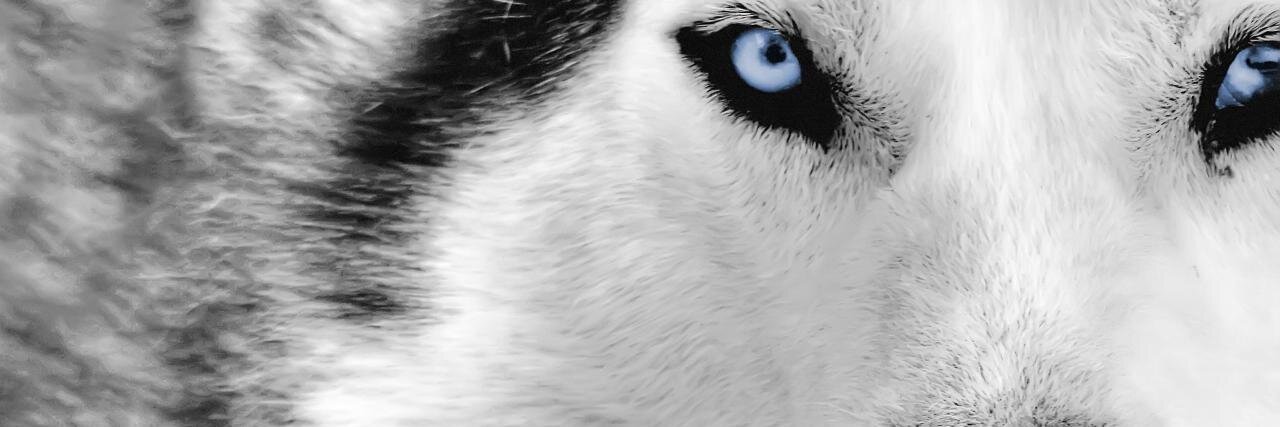 PrisonerEzgi's profile banner image