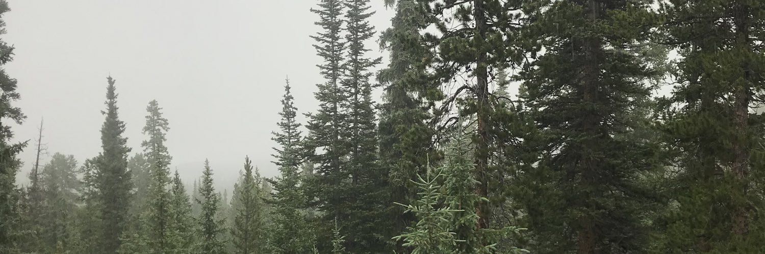 devbett's profile banner image