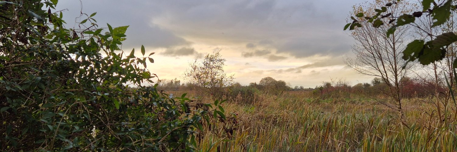 rachelmurphy's profile banner image