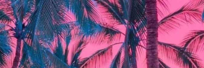 86 Snow's banner
