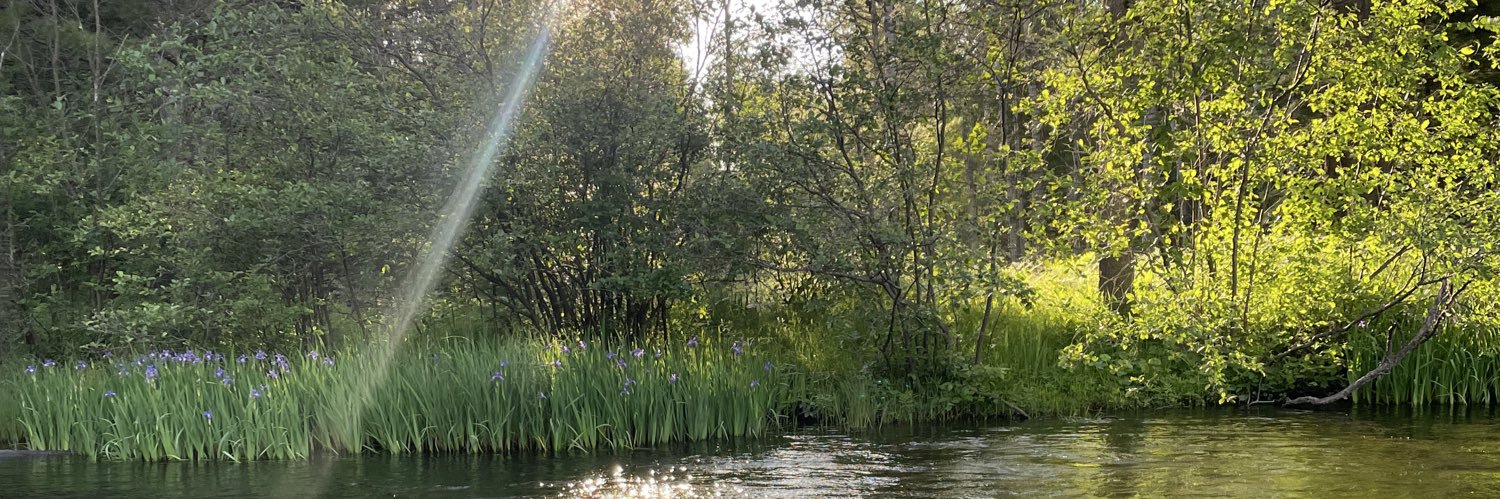 LisaDempsey23's profile banner image