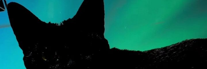 JulianaTozzo's profile banner image