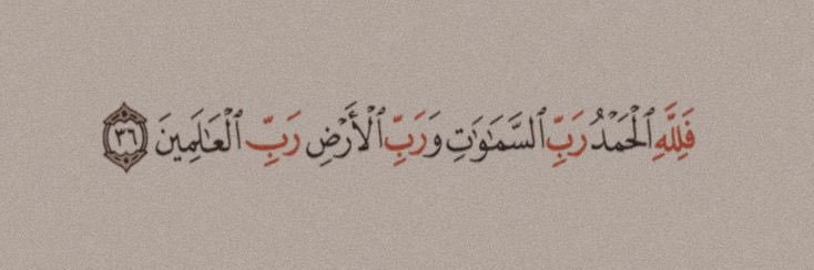 صفيّه banner