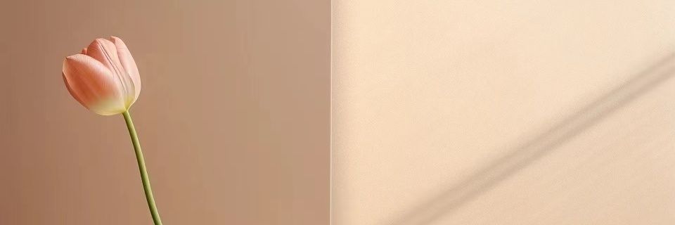 熊 banner