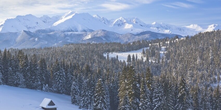 Zakopane App banner