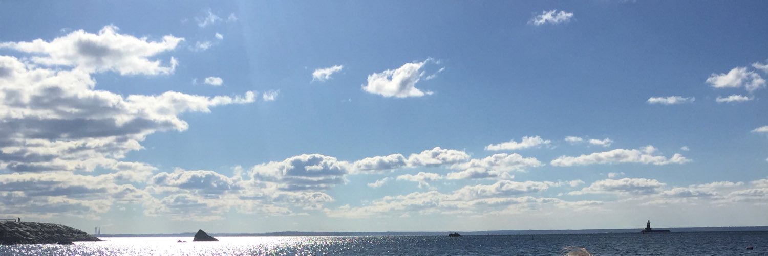 rkammerer's profile banner image