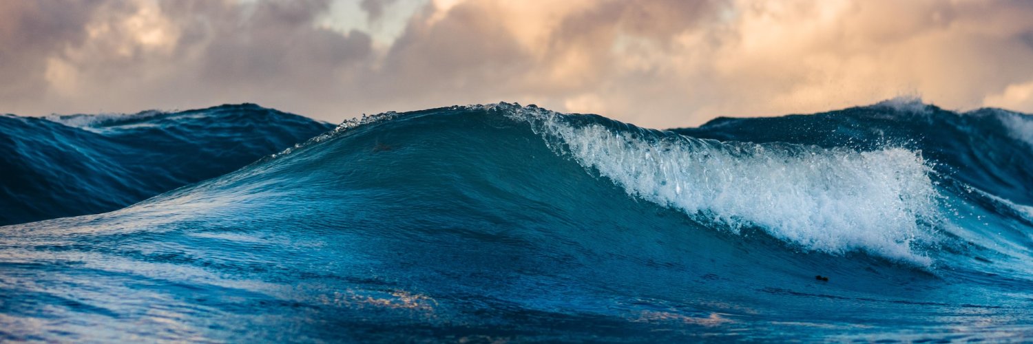 Sasha 🇺🇦 banner