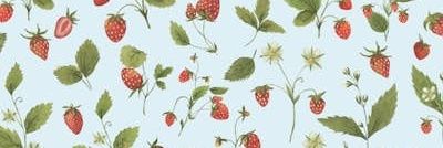 browt banner