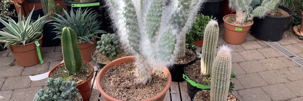 michaelafcm Profile Banner