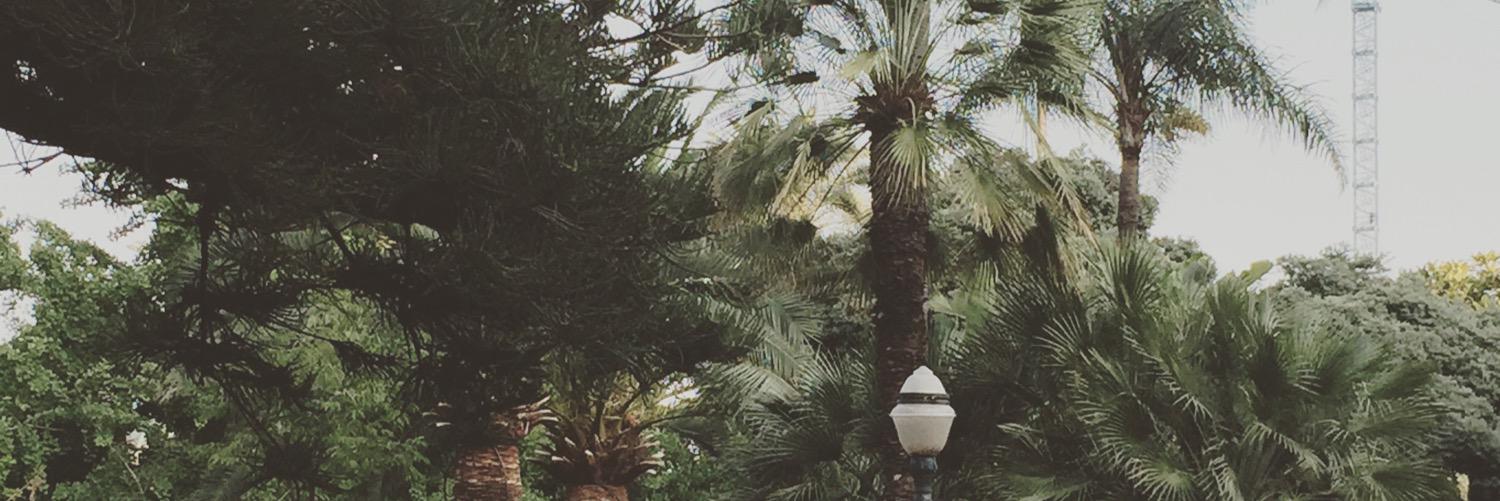 lacis94's profile banner image