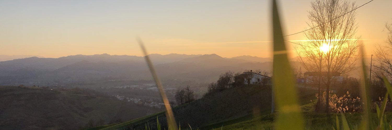 Simone Ricchello banner