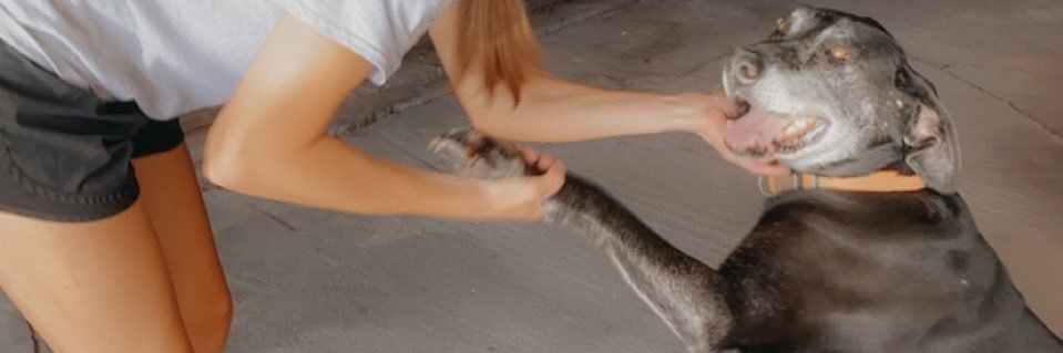 CassidyJaster's profile banner image