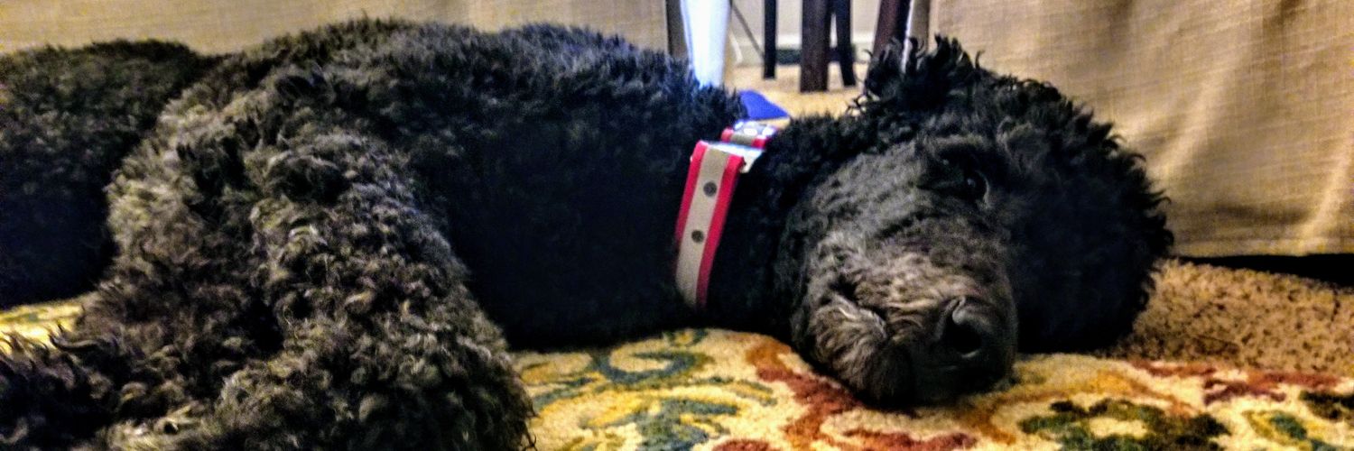 Shaun Dakin #ClimateAction banner