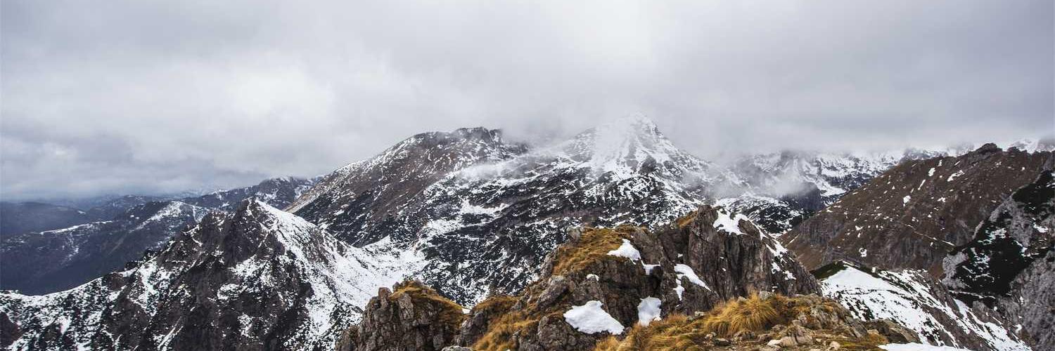EriykaRyan's profile banner image