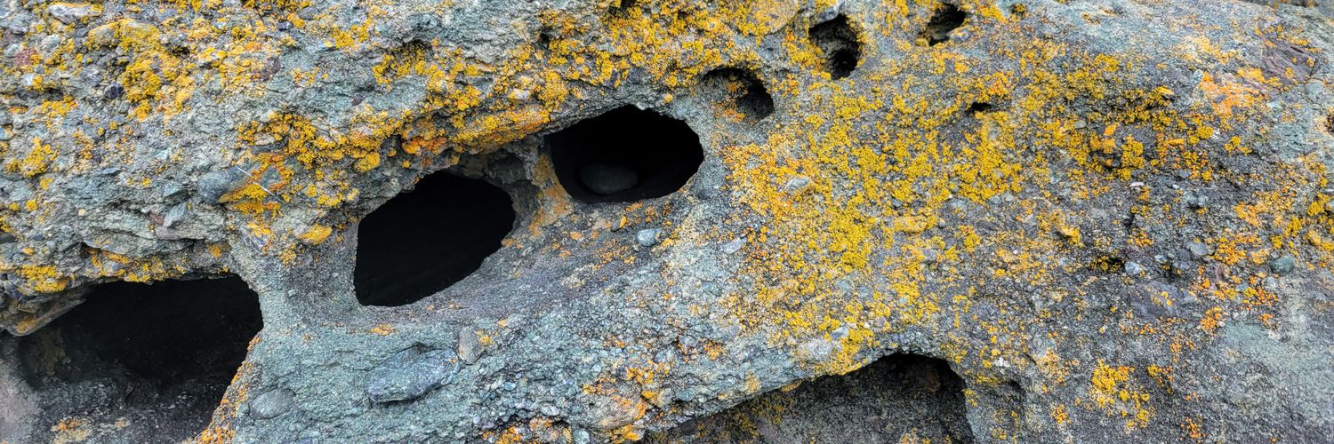 bsidjak's profile banner image
