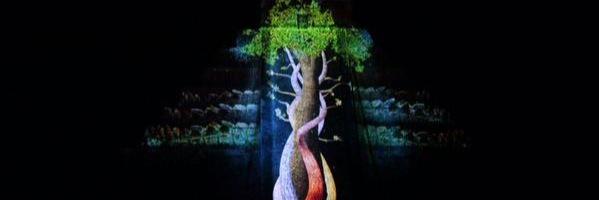 ecosyucatan's profile banner image