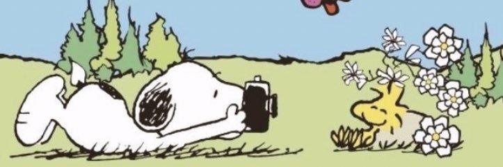 snoopy posters's banner