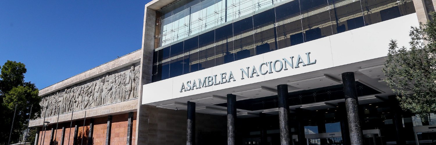 Bancada ADN's banner