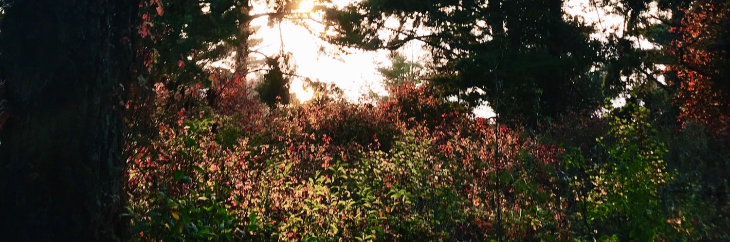 MerriottLondyn's profile banner image