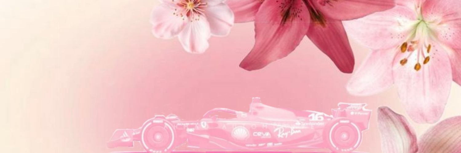 43lecstappen's profile banner image