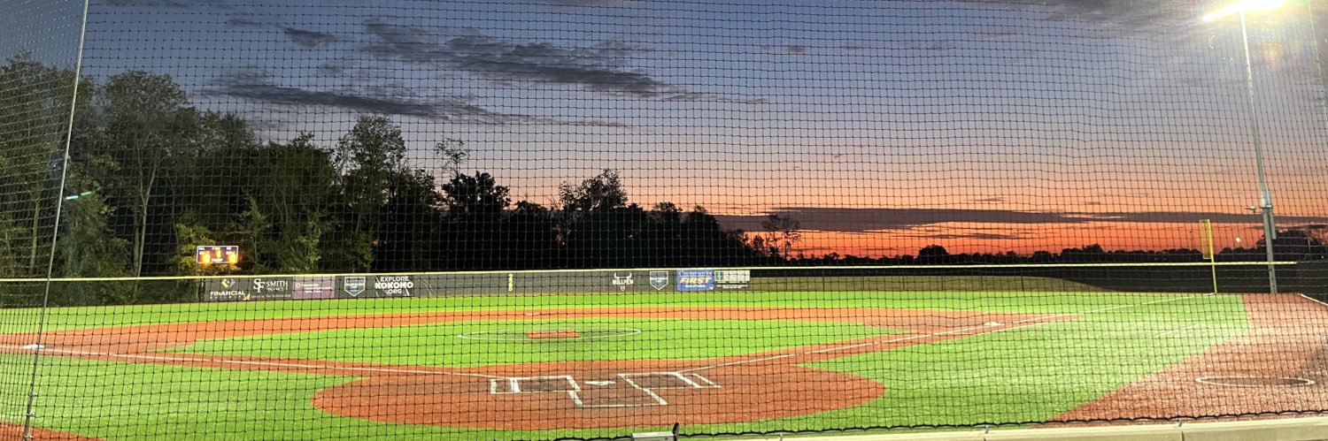 Samantha Snyder banner