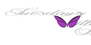 tueswithbianca's profile banner image