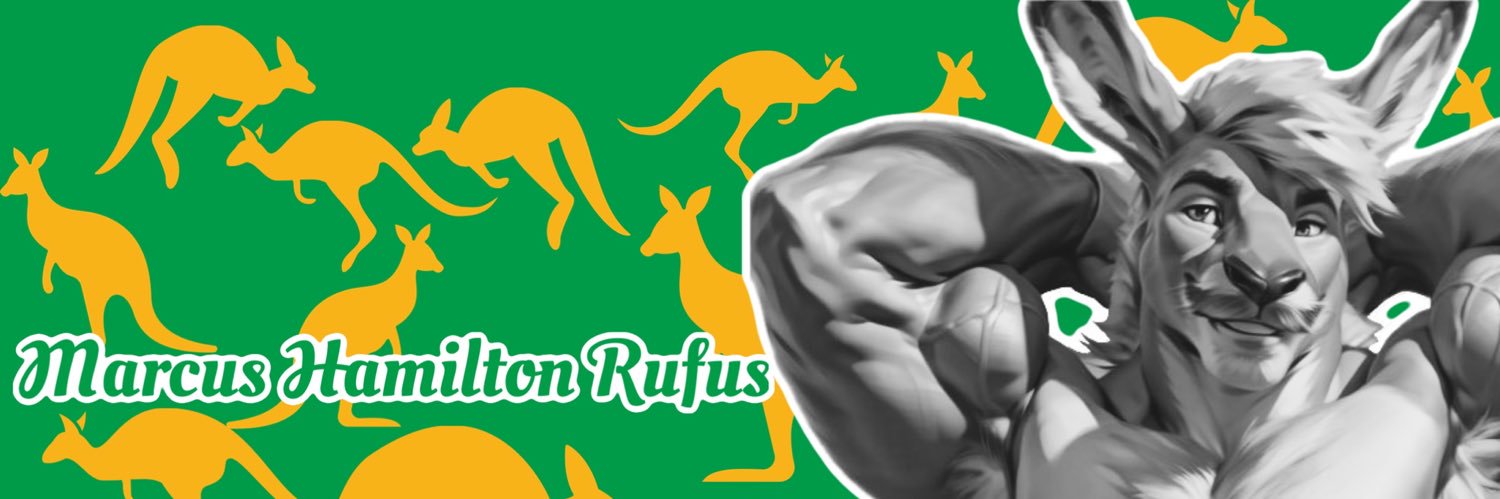 𝙈𝘼𝙍𝘾𝙐𝙎 𝙃𝘼𝙈𝙄𝙇𝙏𝙊𝙉 𝙍𝙐𝙁𝙐𝙎 banner