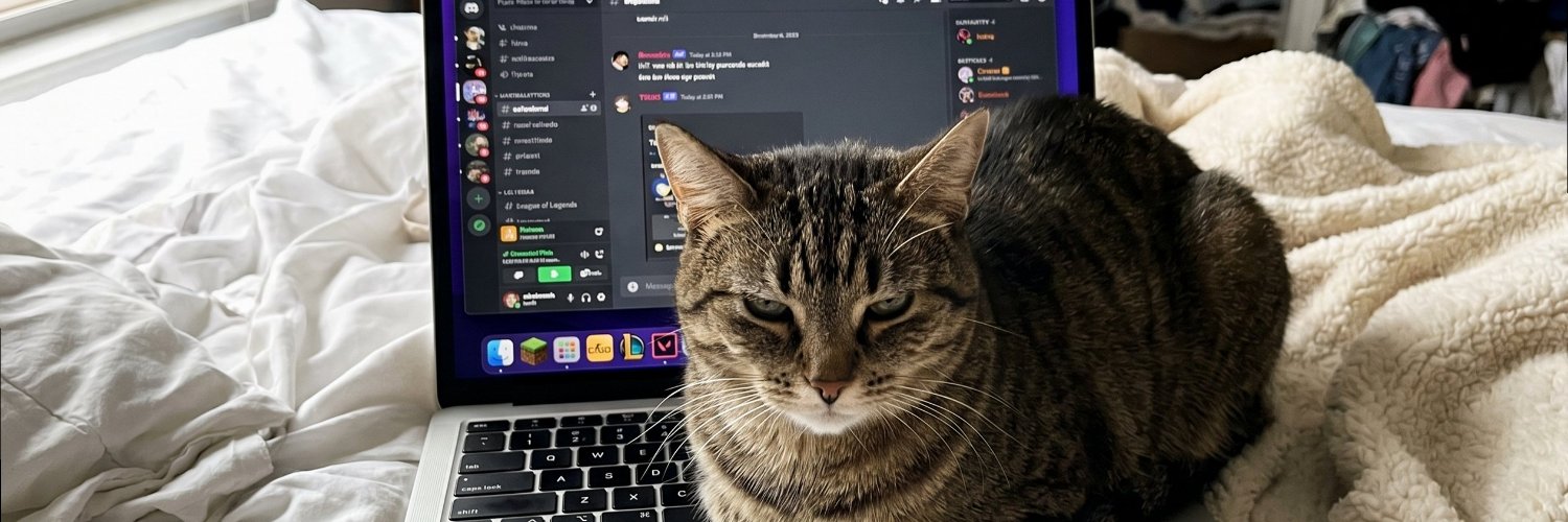 sofi_away's profile banner image