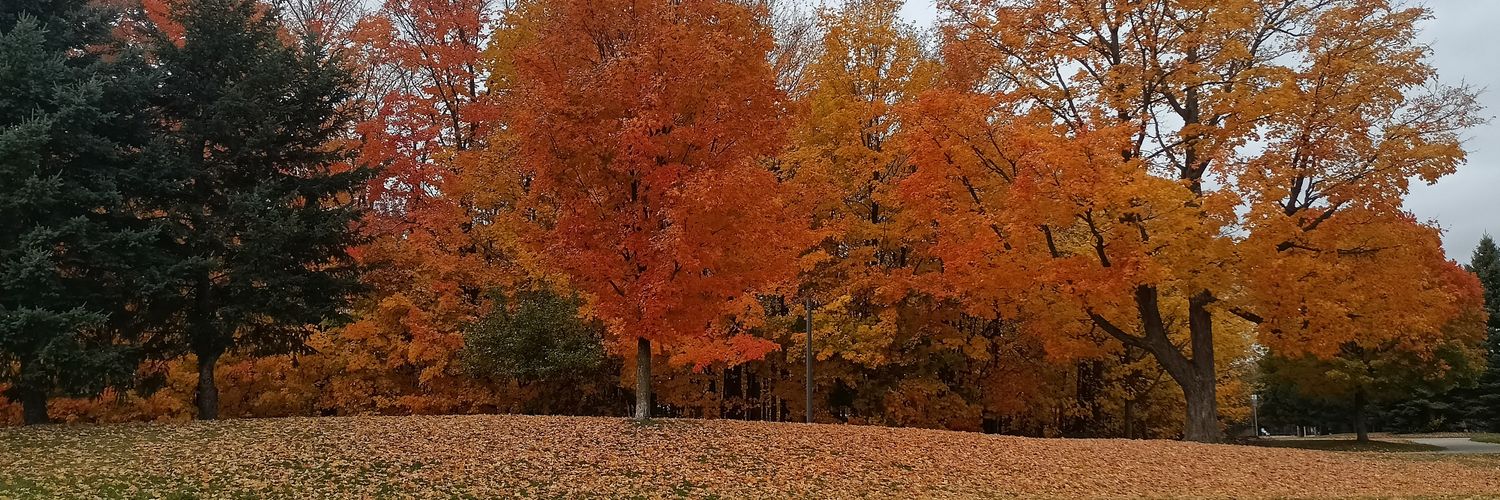 微尘-Fine dust banner