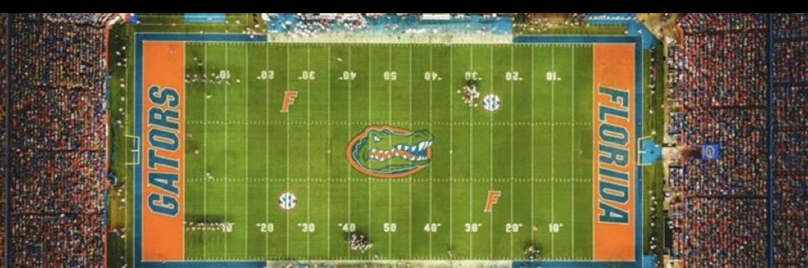 Nittany Gator banner